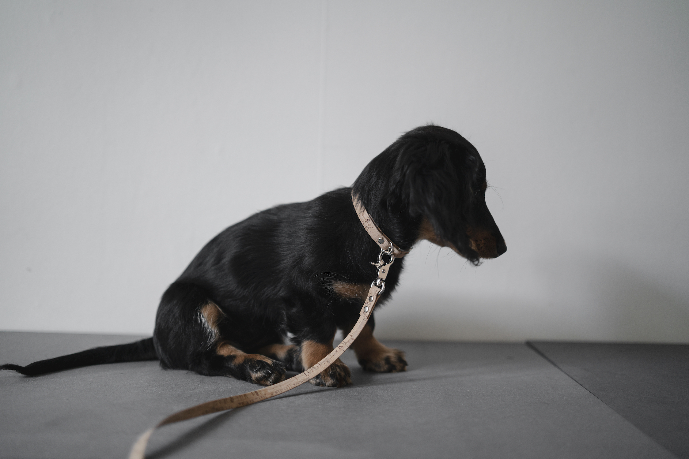Frankies Dog Leash Natural Cork - 2