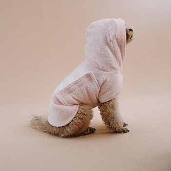 Barkshe Hund Badrock Rosa