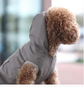Perro Collection Rain&nbsp;Coat Grey - 2