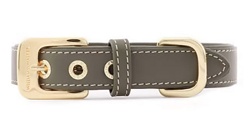 William Walker Dog Collar Forest