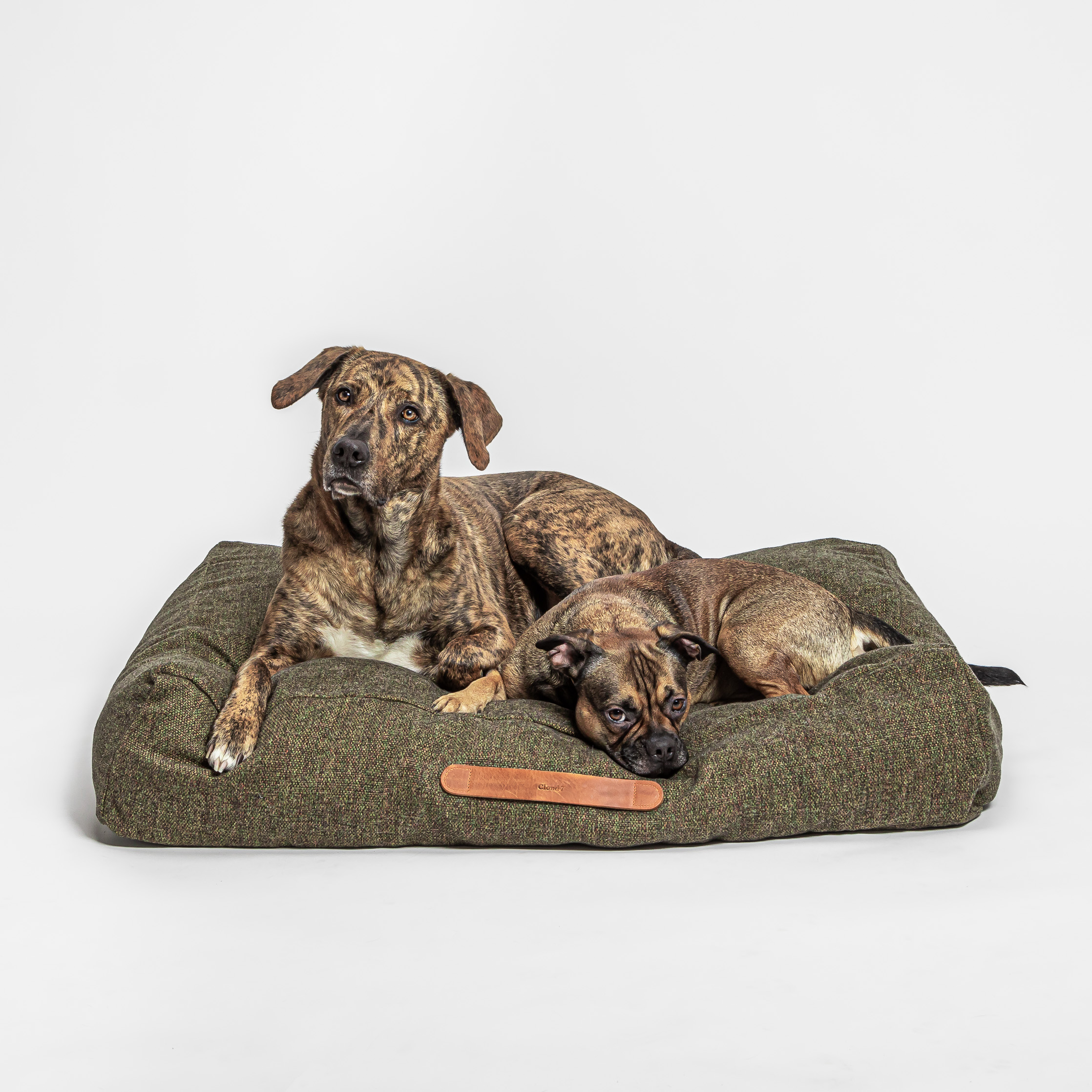 Cloud7 Dog&nbsp;Bed Homey Olive - 3