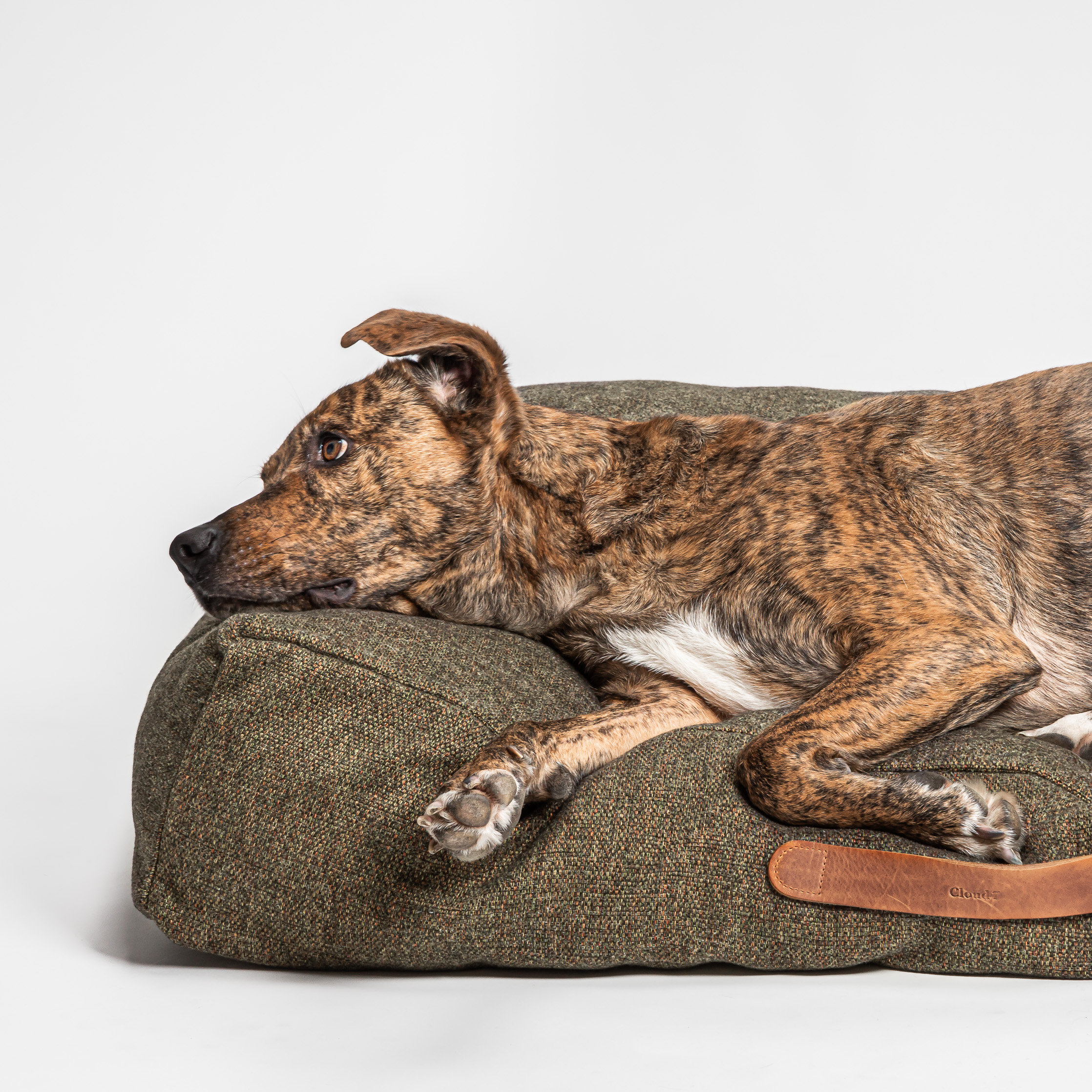 Cloud7 Dog&nbsp;Bed Homey Olive - 4