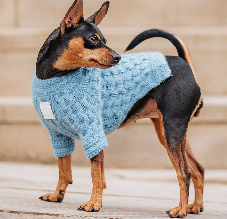 Overglam You Are Not Alone Jumper Light Blue - 4
