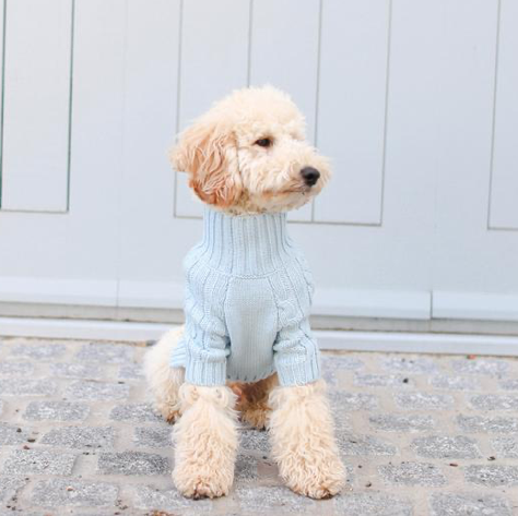 Overglam Turtleneck Knitwear Light Blue - 3
