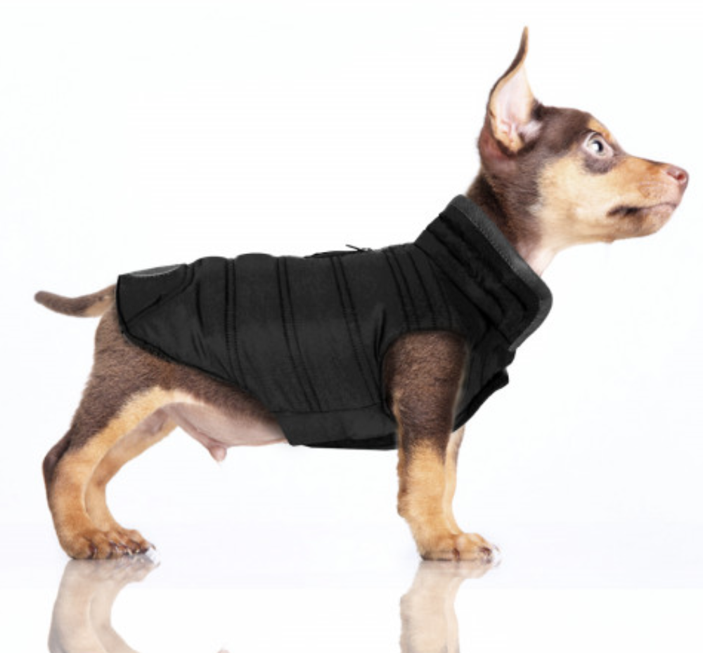 Milk & Pepper Edwin Reversible Jacket - 3