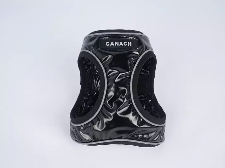 Canach City Black Dog Harness - 3