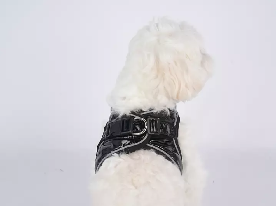 Canach City Black Dog Harness - 2