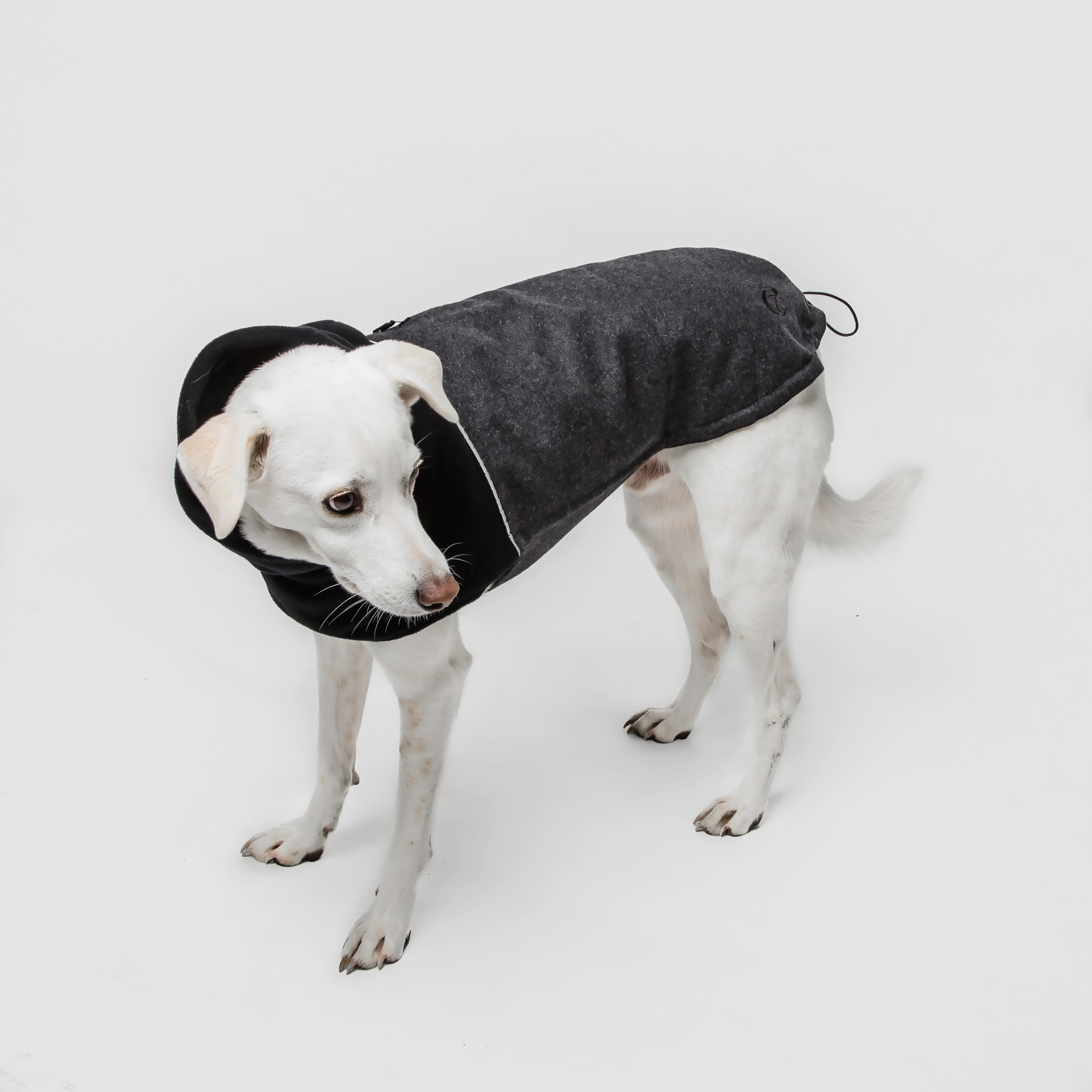 Cloud7 Dog&nbsp;Coat Oxford Flannel Anthra - 3