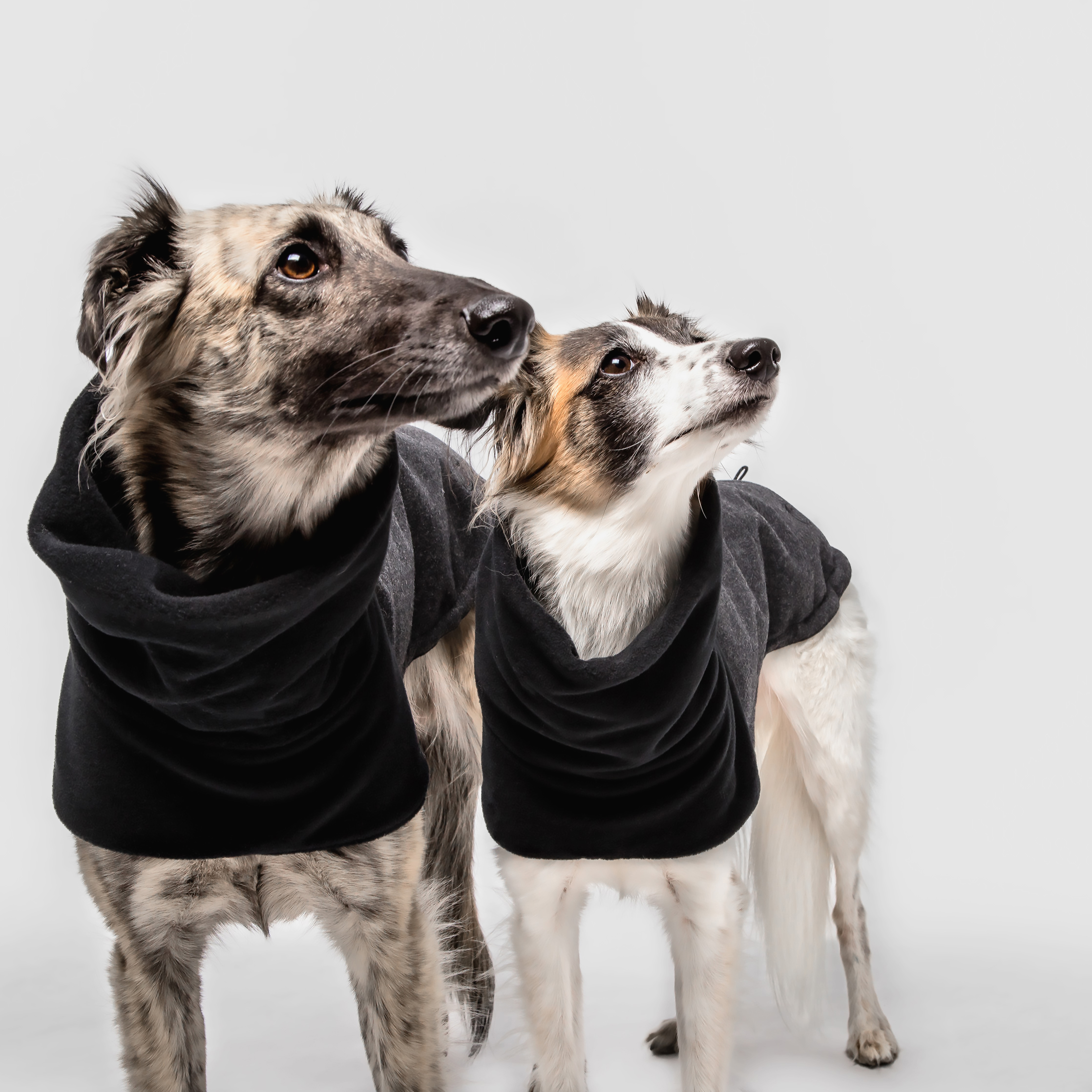 Cloud7 Dog&nbsp;Coat Oxford Flannel Anthra - 2