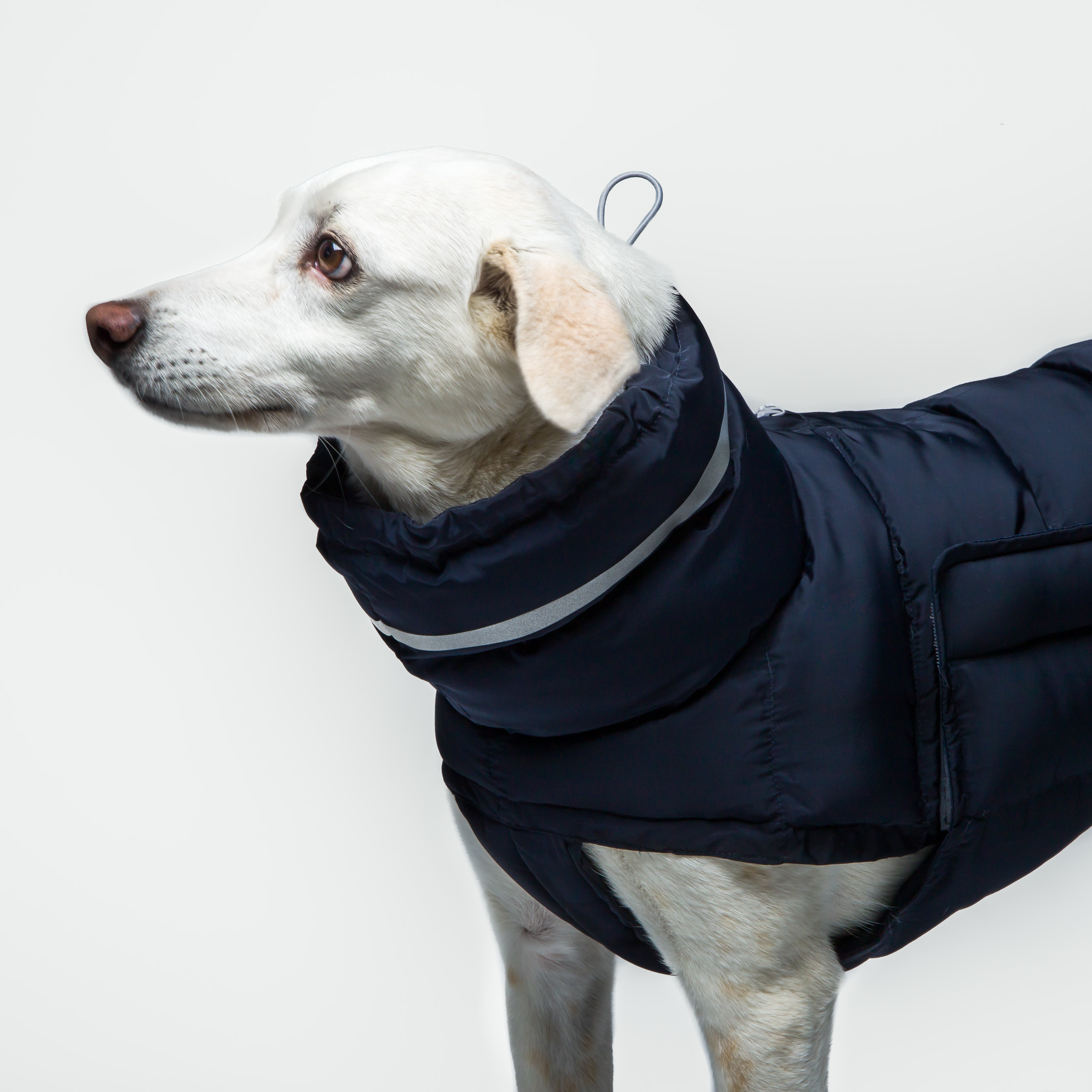 Cloud7 Dog&nbsp;Coat Alaska Navy - 3