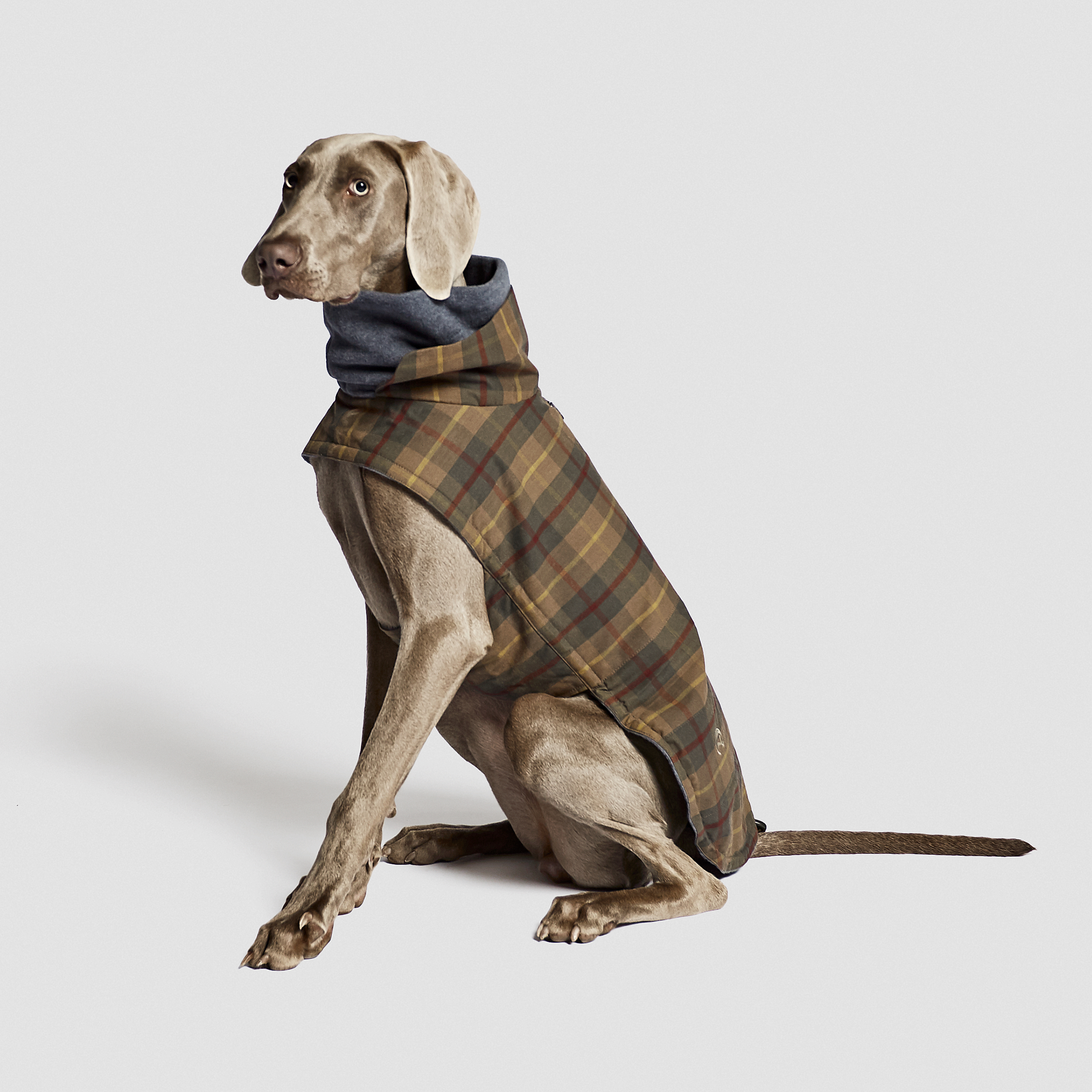 Cloud7 Dog&nbsp;Coat Brooklyn Tartan - 2