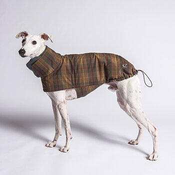 Cloud7 Dog&nbsp;Coat Brooklyn Tartan