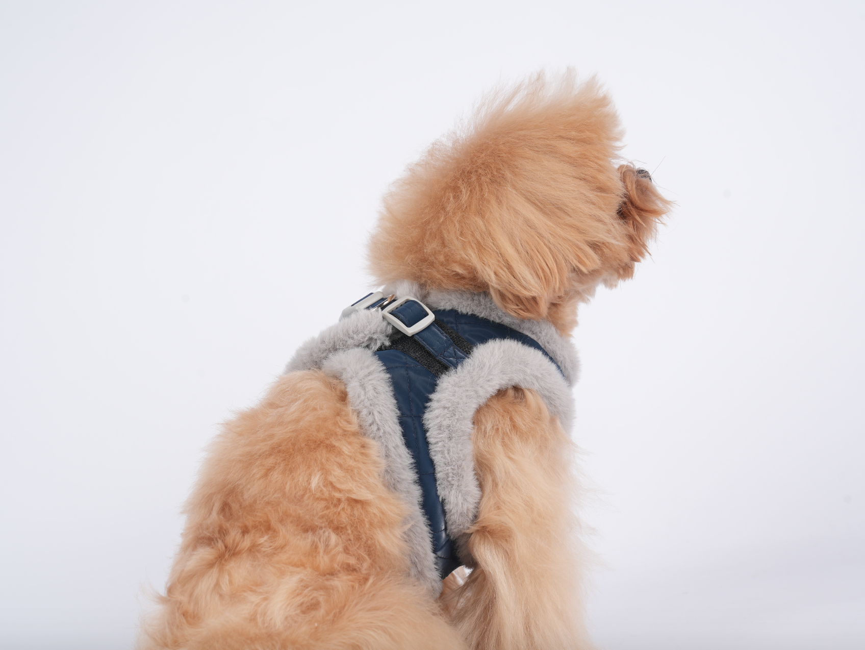 Canach After Ski Dog Harness - 2