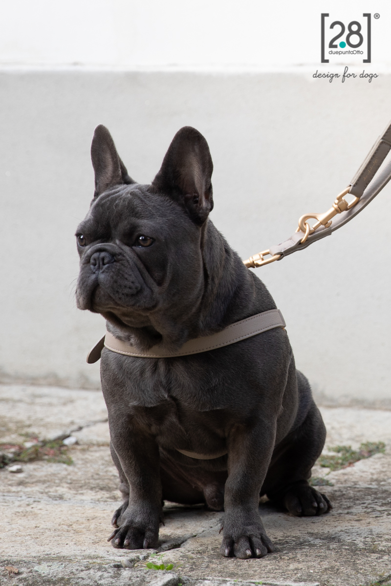 2.8 Mario Dog Leather, Taupe - 5