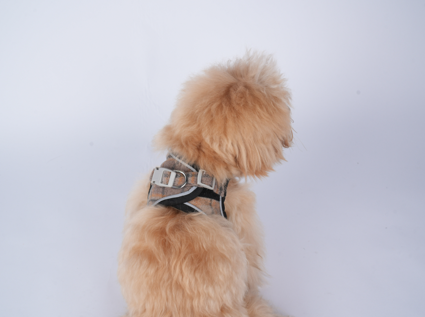 Canach Tartan Brown Harness - 2