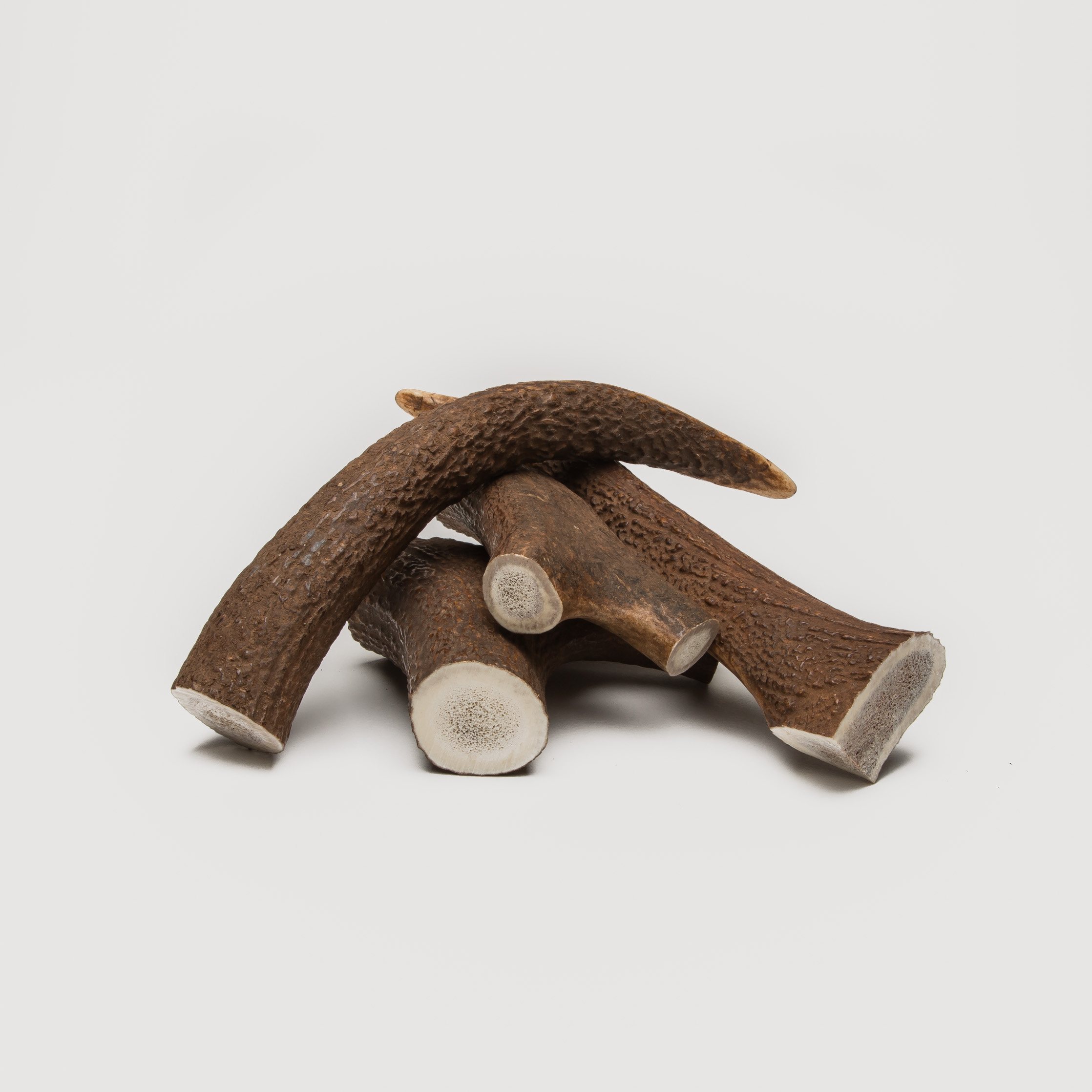 Cloud7 Natural&nbsp;Chew Bone Deer Antor - 2
