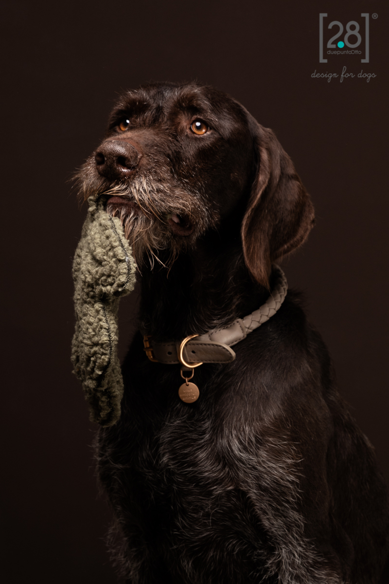 2.8 Ferdinando Taupe Dog Collar - 3