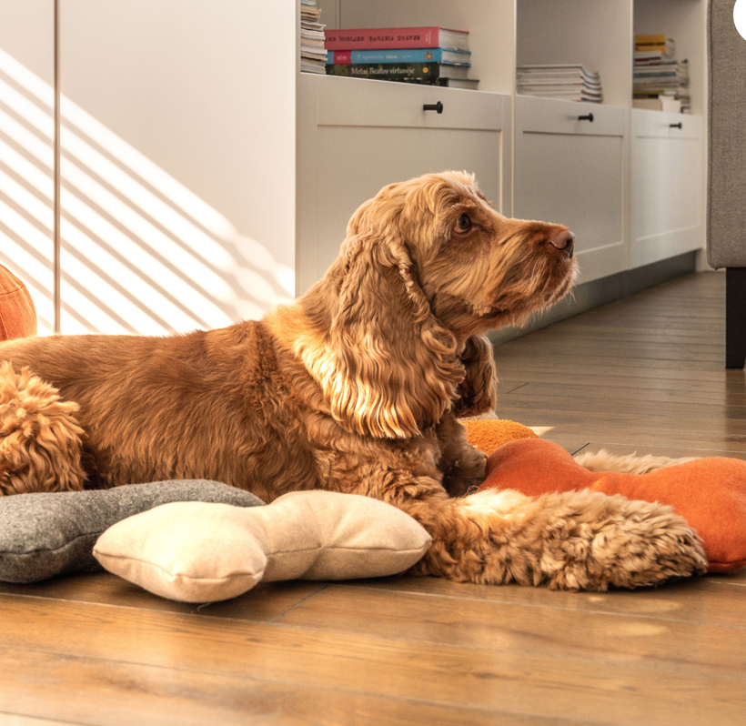 Pillow Villa Dog Toy Bone Joy - 2