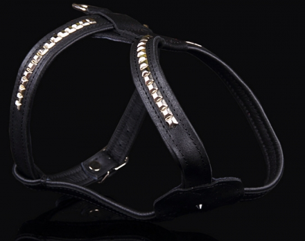Raddna Collection Dog Harness Miami Black - 2