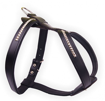 Raddna Collection Dog Harness Miami Black