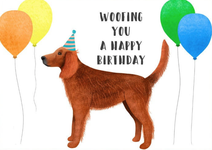 Two Chubbas Dog Congratulations Card