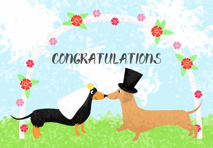 Two Chubbas Dog Congratulations Card