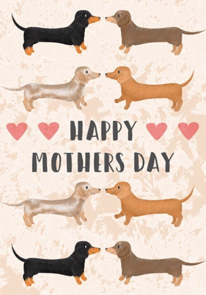 Two Chubbas Dog Congratulations Card