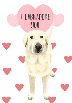 Two Chubbas Hund Gratulationskort