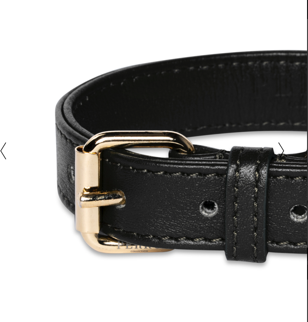 Perro Collection Dog&nbsp;Collar Black - 2