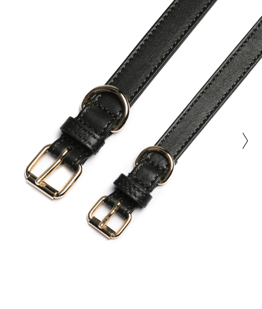 Perro Collection Dog&nbsp;Collar Black - 3
