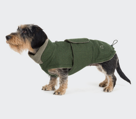 Cloud7 Dachshund Coat Brooklyn Flannel Fern Green - 2