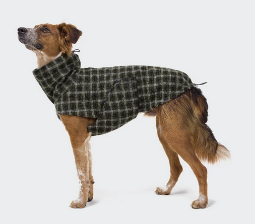 Cloud7 Dog Coat Glasgow Plaid Green - 3