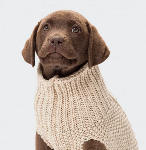 Cloud7 Dog Sweater Oslo Beige - 2