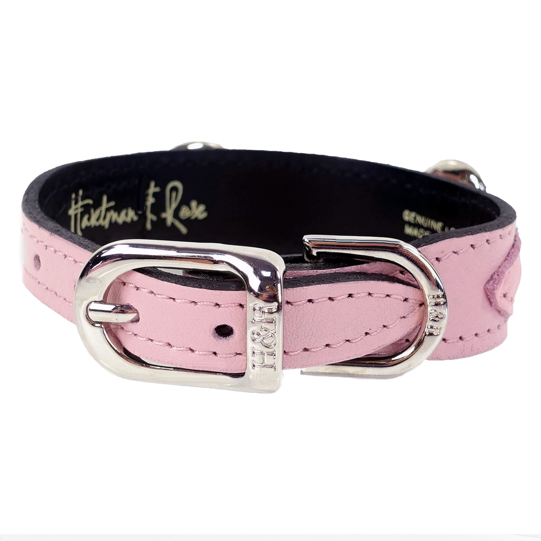 hartman & rose gucci dog collar