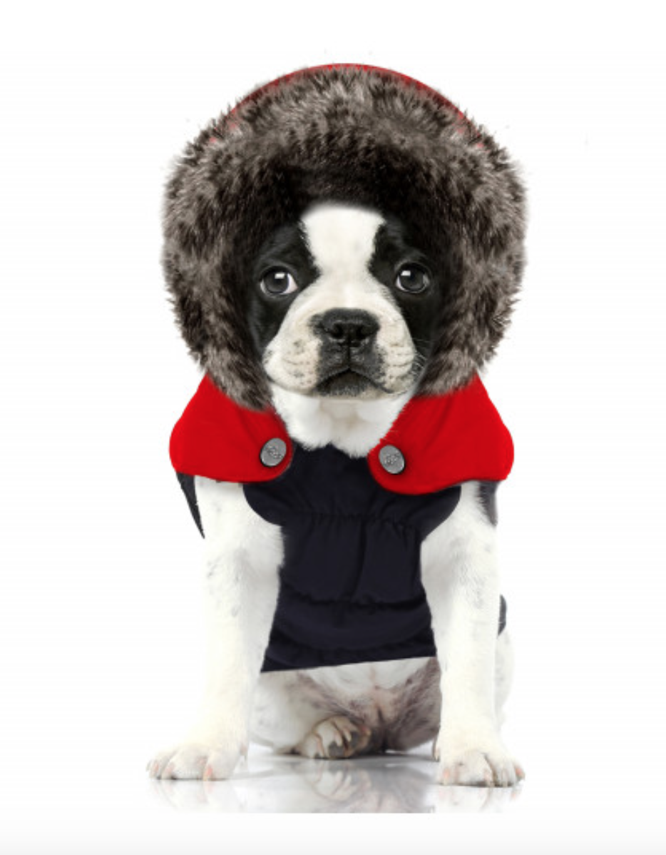 Milk & Pepper Avoriaz&nbsp;Puffer Jacket - 3
