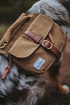 Wolf Repbulic Ryggsäck För Hunden