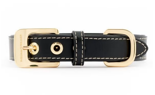 William Walker Dog Collar Noir