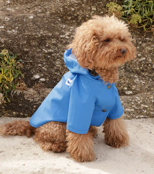 The Painters Wife Sarah Rain Coat French Blue - 4