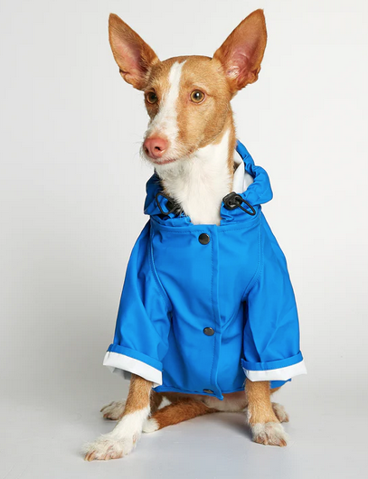 The Painters Wife Sarah Rain Coat French Blue