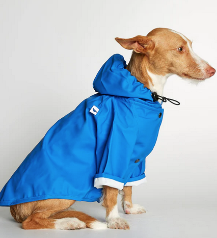 The Painters Wife Sarah Rain Coat French Blue - 3