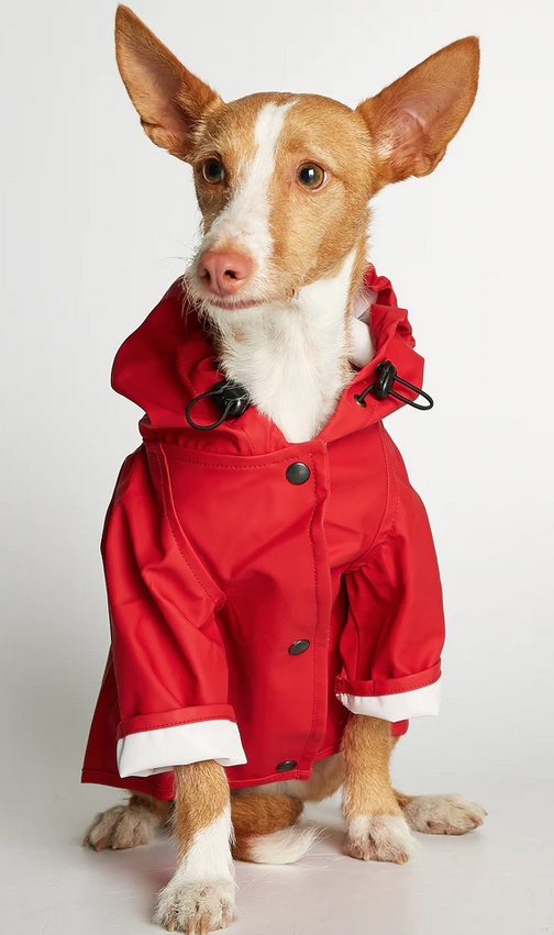 The Painters Wife Sarah Rain Jacket Adrenaline Red - 2