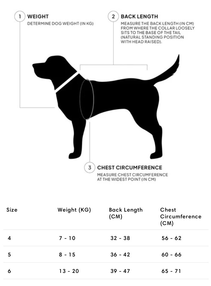 Cloud7 Dog&nbsp;Coat Brooklyn Bulldog - 5
