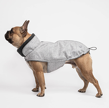 Cloud7 Dog&nbsp;Coat Brooklyn Bulldog