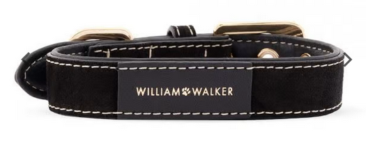 William Walker Dog Collar Royal Black - 2