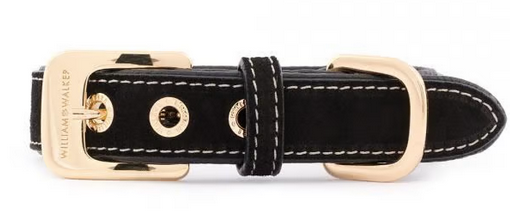 William Walker Dog Collar Royal Black