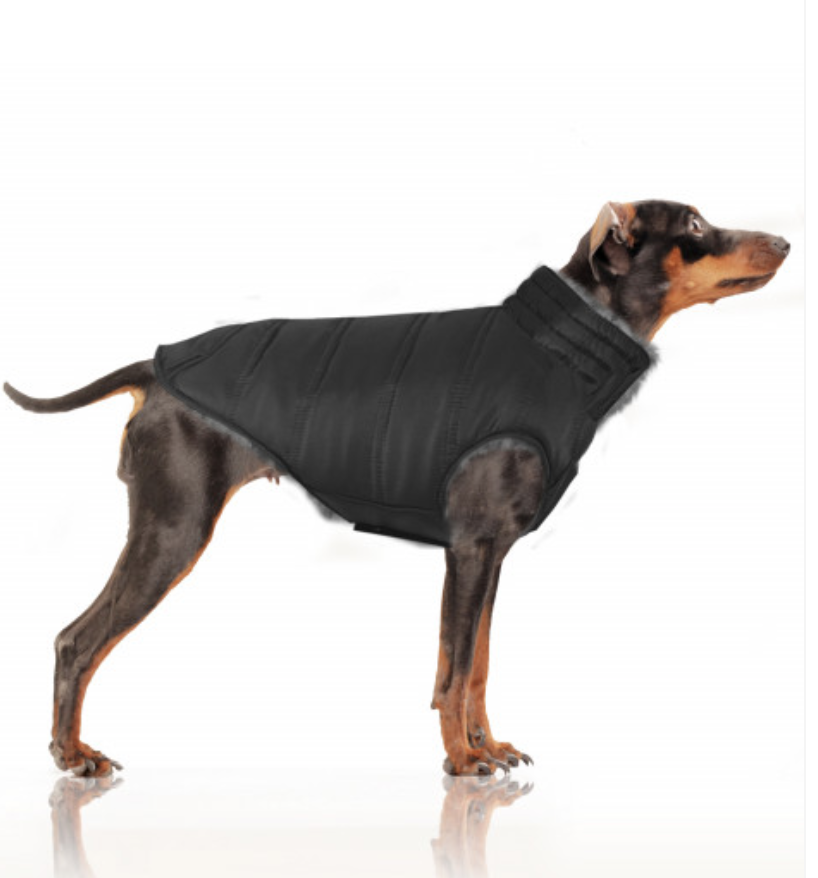 Milk & Pepper Kristen Reversible Dog Jacket - 2