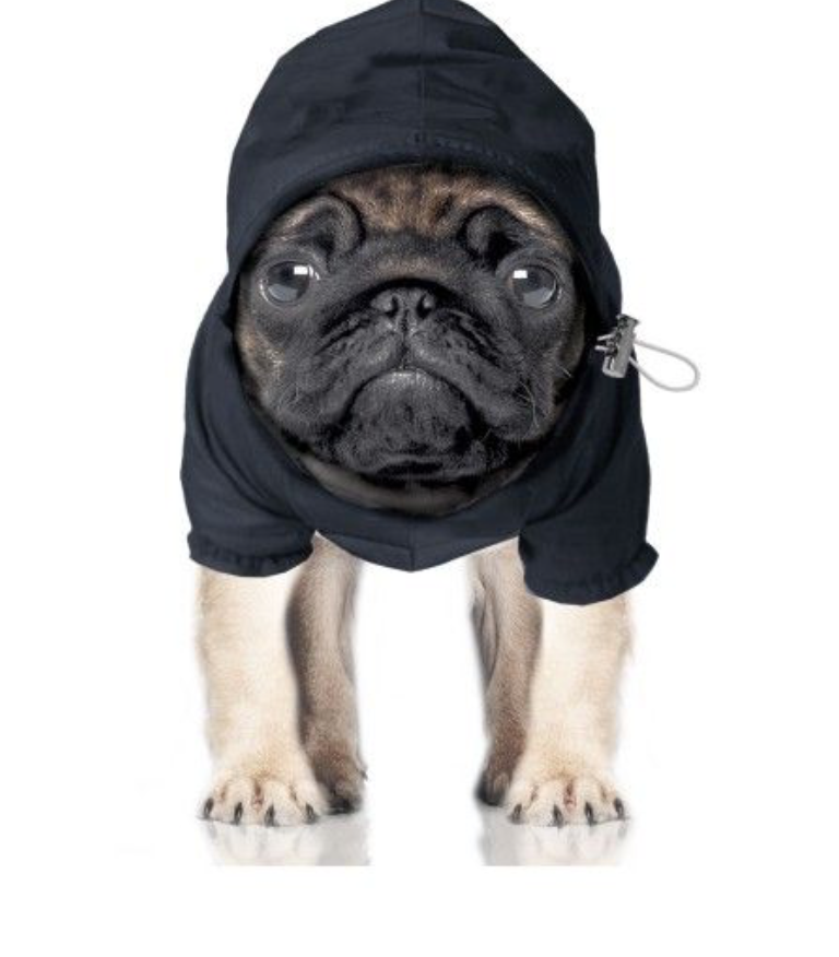 Milk & Pepper Winch Dog Rain Coat - 2