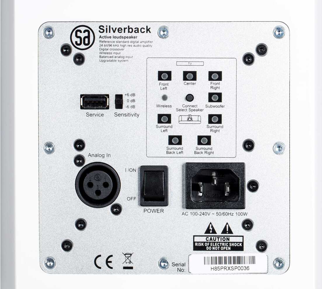 System Audio Legend 7.2 Silverback - 11