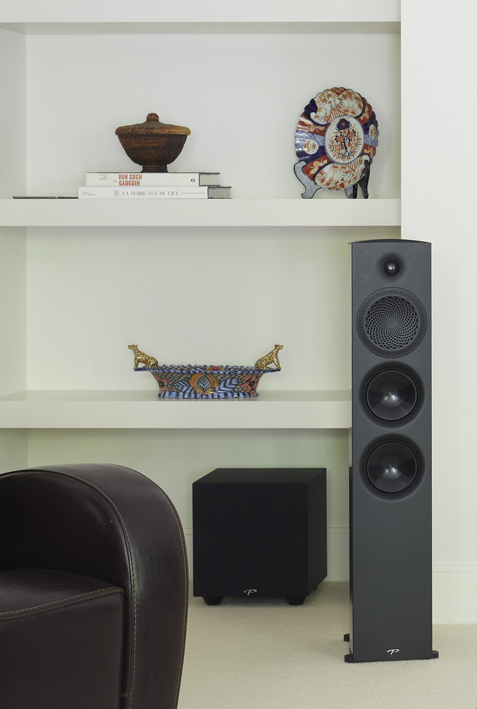 Paradigm Defiance X10 - 4