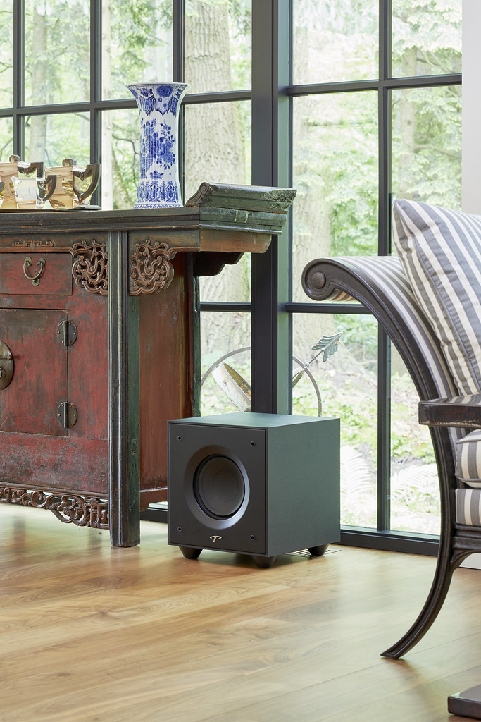 Paradigm Defiance X10 - 3